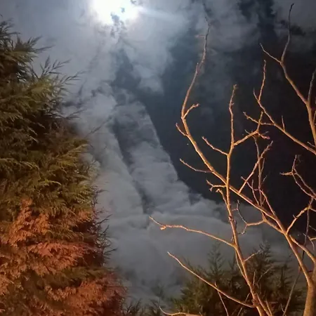 L'ombelico Di * Selcuk